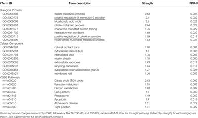 The Role of PDE11A4 in Social Isolation-Induced Changes in Intracellular Signaling and Neuroinflammation